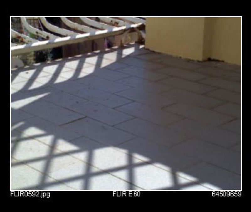 denise-vola-termografia-img--piccola-01a